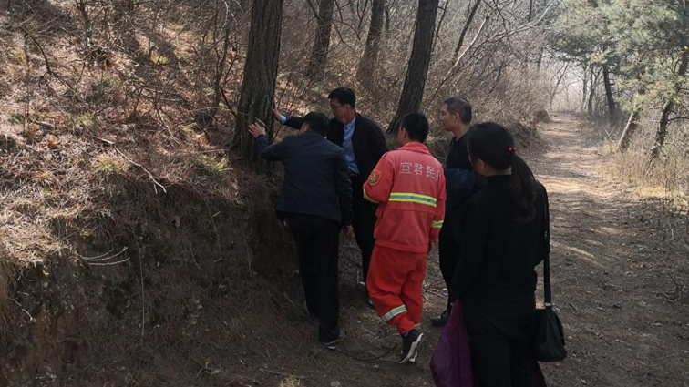 铜川市对林业有害生物防控工作进行督导