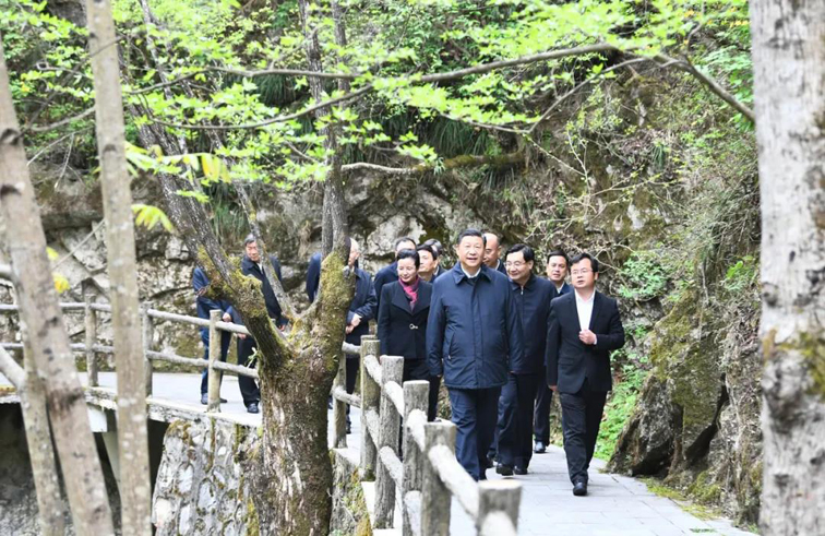 习近平在陕西考察秦岭生态保护情况