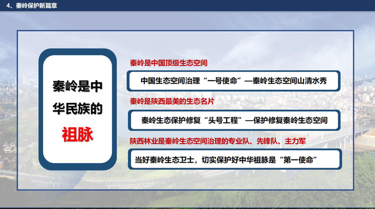 专家谈｜党双忍：奋力谱写秦岭生态保护新篇章