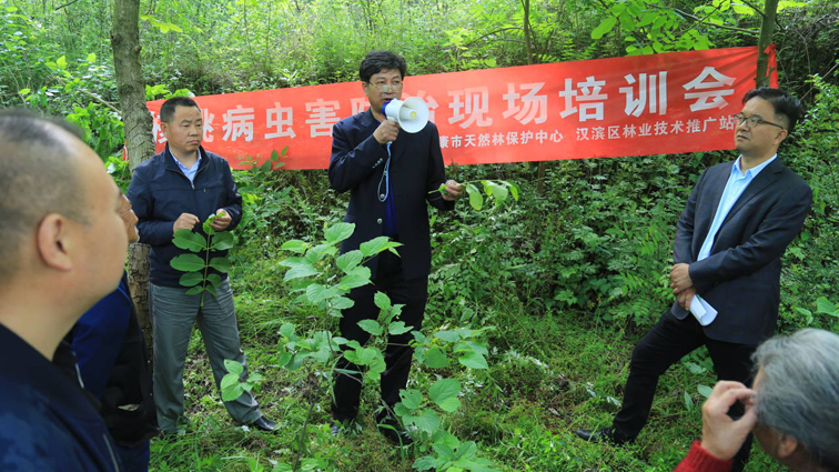 天上飞的“护林员”，地上专家“妙语连”